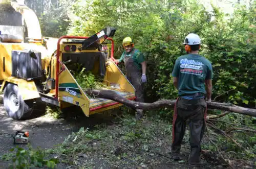 tree services University Park